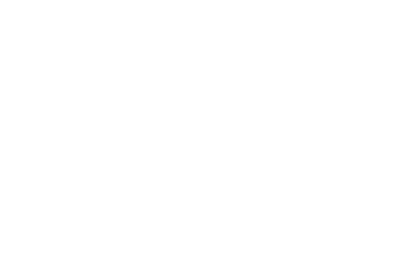 BBB A+ Rating logo