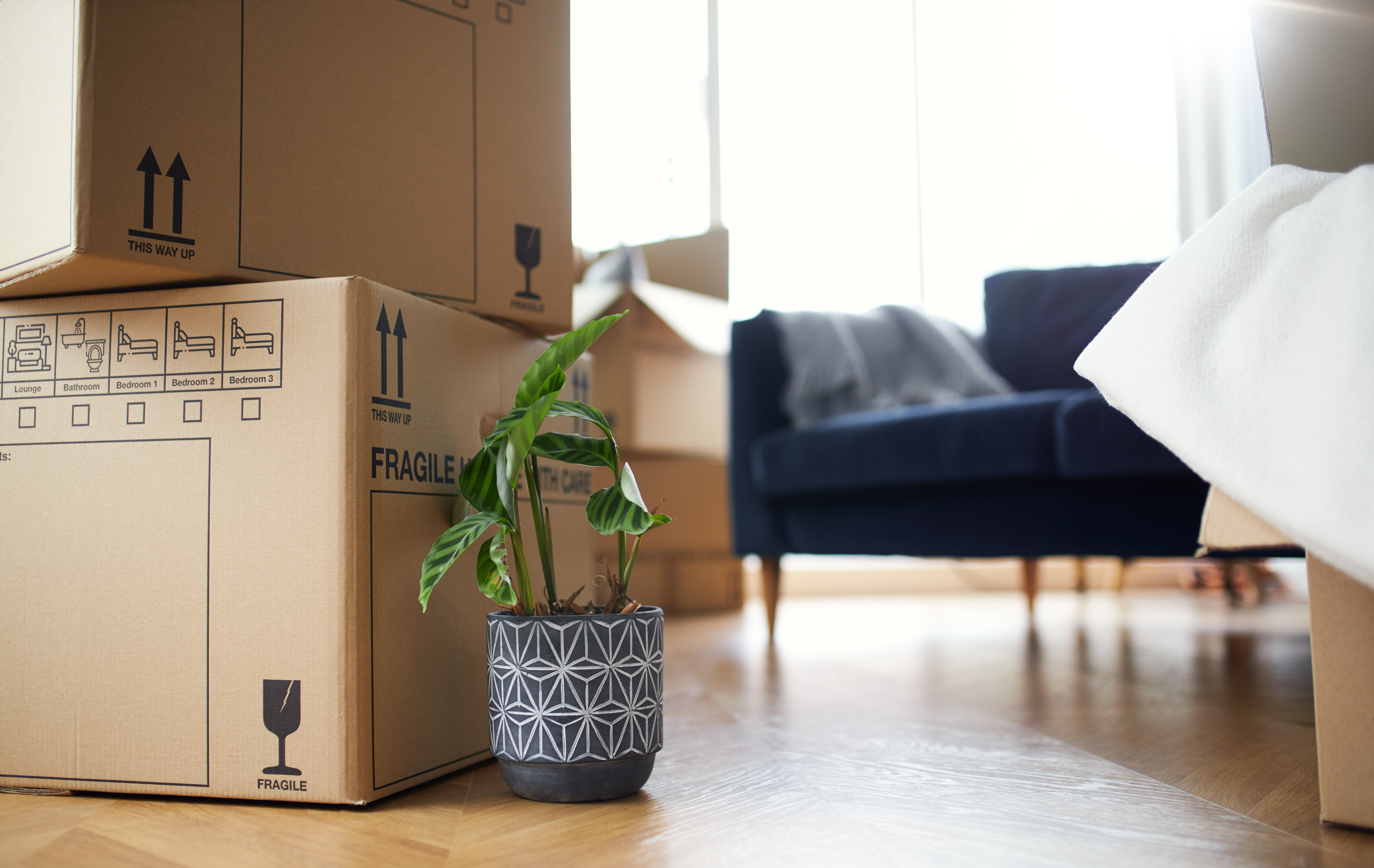 Move In Checklist